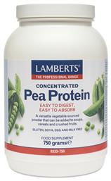 Concentrated Pea Protein 750gr Lamberts